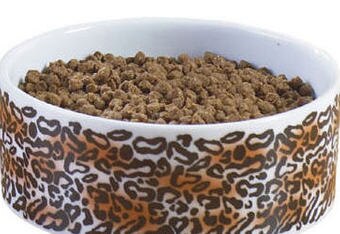 Dogbowl_crop_340x234