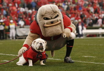 ATHENS, GA - NOVEMBER 29:  Georgia Bulldogs mascots Hairy Dawg (R) and UGA VII pose together for photos before the game against the Georgia Tech Yellow Jackets at Sanford Stadium on November 29, 2008 in Athens, Georgia.  The Yellow Jackets defeated the Bulldogs 45-42.  (Photo by Mike Zarrilli/Getty Images)
