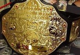 Wwe_world_heavyweight_champions_crop_340x234