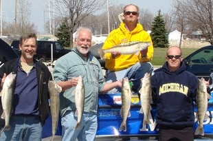 The_walleye_are_biting_crop_310x205