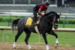 LOUISVILLE, KY - APRIL 28: General Quarters runs on the track during the morning training for the 135th Kentucky Derby at Churchill Downs on April 28, 2009 in Louisville, Kentucky.  (Photo by Andy Lyons/Getty Images)