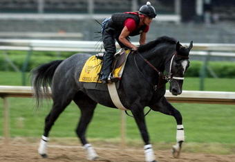 LOUISVILLE, KY - APRIL 28: General Quarters runs on the track during the morning training for the 135th Kentucky Derby at Churchill Downs on April 28, 2009 in Louisville, Kentucky.  (Photo by Andy Lyons/Getty Images)