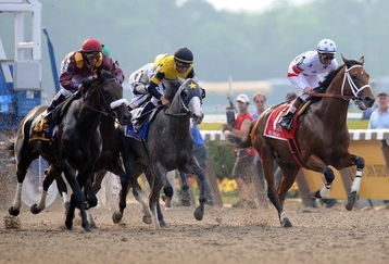 ELMONT, NY - JUNE 07:  (L-R) Da'Tara ridden by Alan Garcia, Macho Again ridden by Garrett Gomez and Big Brown ridden by Kent Desormeaux take off during the start of the 140th running of the Belmont Stakes at Belmont Park on June 7, 2008 in Elmont, New York.  (Photo by Jeff Zelevansky/Getty Images)