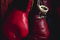 UNDATED:  BOXING GLOVES HANGING ON A NAIL