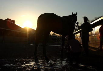 LOUISVILLE, KY - APRIL 25:  Musket Man held by trainer Derek Ryan is washed by Mario Rodriquez in the barn area during the morning training for the 135th Kentucky Derby at Churchill Downs on April 25, 2009 in Louisville, Kentucky.  (Photo by Andy Lyons/Getty Images)