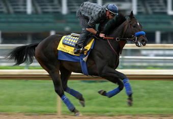 LOUISVILLE, KY - APRIL 30:  Pioneerof the Nile runs on the track during the morning training for the 135th Kentucky Derby at Churchill Downs on April 30, 2009 in Louisville, Kentucky.  (Photo by Andy Lyons/Getty Images)