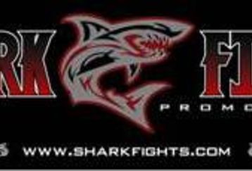 Shark_feature