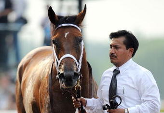 ELMONT, NY - JUNE 07:  Big Brown is led down the track after the 140th running of the Belmont Stakes at Belmont Park on June 7, 2008 in Elmont, New York.  (Photo by Jeff Zelevansky/Getty Images)