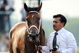 ELMONT, NY - JUNE 07:  Big Brown is led down the track after the 140th running of the Belmont Stakes at Belmont Park on June 7, 2008 in Elmont, New York.  (Photo by Jeff Zelevansky/Getty Images)