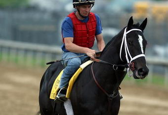 LOUISVILLE, KY - APRIL 30:  I Want Revenge walks on the track during the morning training for the 135th Kentucky Derby at Churchill Downs on April 30, 2009 in Louisville, Kentucky.  (Photo by Andy Lyons/Getty Images)