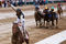 Derby_small