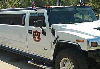 Tiger_prowl_crop_340x234