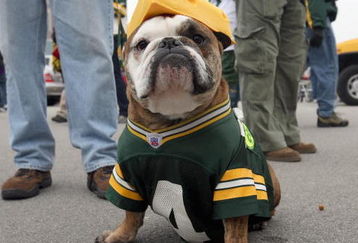 GREEN BAY, WI - NOVEMBER 11: A fan of Brett Favre #4  poses before the game between the Green Bay Packers and the Minnesota Vikings on November 11, 2007 at Lambeau Field in Green Bay, Wisconsin. (Photo by Jonathan Daniel/Getty Images)
