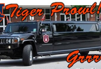 Tiger-prowl_crop_340x234