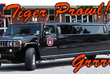 Tiger-prowl_feature