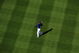 LOS ANGELES, CA - APRIL 30:  Manny Ramirez #99 of the Los Angeles Dodgers warms up before the game between the San Francisco Giants at Dodger Stadium on April 30, 2009 in Los Angeles, California.  (Photo by Harry How/Getty Images)