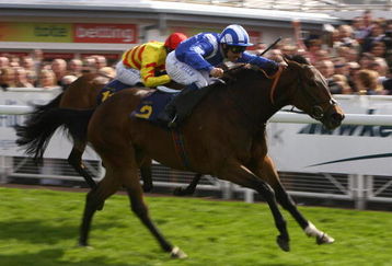 CHESTER, ENGLAND - MAY 08:  Balaagha ridden by Richard Hills wins the Charles Rodgers Cheshire Regiment Maiden Fillies' Stakes at Chester Racecourse on May 8, 2009 in Chester, England.  (Photo by Alex Livesey/Getty Images)