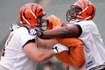 CINCINNATI, OH - MAY 1:  First round draft pick Andre Smith #7 (R) of the Cincinnati Bengals battles with teammate Ryan Madison #61 during rookie minicamp at Paul Brown Stadium on May 1, 2009 in Cincinnati, Ohio.  (Photo by Mark Lyons/Getty Images)