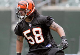 CINCINNATI, OH - MAY 1:  Cincinnati Bengals second round draft pick Ray Maualuga #58 runs a drill during rookie minicamp at Paul Brown Stadium on May 1, 2009 in Cincinnati, Ohio.  (Photo by Mark Lyons/Getty Images)