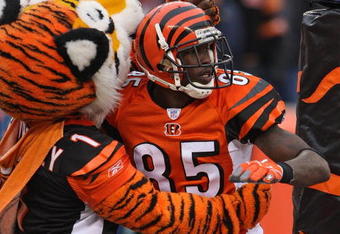 CINCINNATI - NOVEMBER 25:   Chad Johnson #85 of the Cincinnati Bengals celebrates with the Bengals mascot after catching a touchdown pass during the NFL game against the Tennessee Titans on November 25, 2007 at Paul Brown Stadium in Cincinnati, Ohio.  (Photo by Andy Lyons/Getty Images)