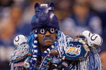 INDIANAPOLIS - DECEMBER 28:  A superfan of the Indianapolis Colts watches the action during the game against the Tennessee Titans on December 28, 2008 at Lucas Oil Stadium in Indianapolis, Indiana. (Photo by: Jamie Squire/Getty Images)