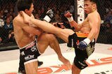 Cung-le-frank-shamrock_more_feature