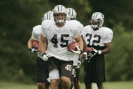 SPARTANBURG, SC - JULY 30:  Brad Hoover #45 of the Carolina Panthers goes through drills during training camp on July 30, 2005, at Wofford College in Spartanburg, South Carolina. (Photo By Grant Halverson/Getty Images) 