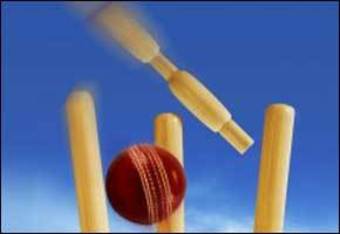 Stumps_ball_generic_290x200_crop_340x234