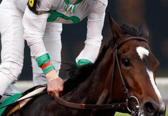 LOUISVILLE, KY - MAY 01:  Jockey Calvin Borel rides Rachel Alexandra to victory during the 135th running of the Kentucky Oaks on May 1, 2009 at Churchill Downs in Louisville, Kentucky.  (Photo by Jamie Squire/Getty Images)