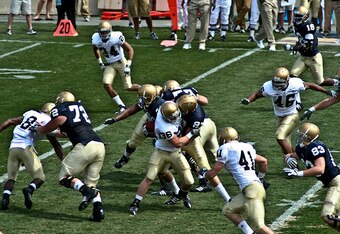 2009_blue-gold_crop_340x234