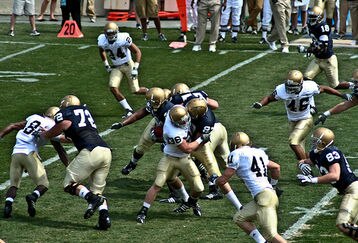2009_blue-gold_feature