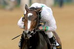 LOUISVILLE, KY - MAY 01:  Rachel Alexandra, riden by Calvin Borel, crosses the finish line to win the 135th Kentucky Oaks at churchill Downs May 1, 2009 in Louisville, Kentucky.  (Photo by Matthew Stockman/Getty Images)