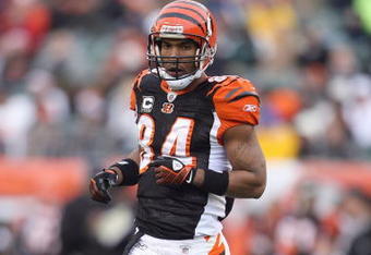 CINCINNATI - DECEMBER 14: T,J, Houshmandzadeh #84 of the Cincinnati Bengals moves on the field during the NFL game against the Washington Redskins on December 14, 2008 at Paul Brown Stadium in Cincinnati, Ohio. The Bengals won 20-13. (Photo by Andy Lyons/Getty Images)