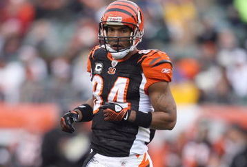 CINCINNATI - DECEMBER 14: T,J, Houshmandzadeh #84 of the Cincinnati Bengals moves on the field during the NFL game against the Washington Redskins on December 14, 2008 at Paul Brown Stadium in Cincinnati, Ohio. The Bengals won 20-13. (Photo by Andy Lyons/Getty Images)