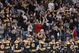 Fans_fest_medium