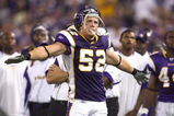 MINNEAPOLIS - SEPTEMBER 12:  Chad Greenway #52 of the Minnesota Vikings reacts on the sidelines during the game against the Indianapolis Colts at the Metrodome on September 14, 2008 in Minneapolis, Minnesota. (Photo by: Jeff Gross/Getty Images)