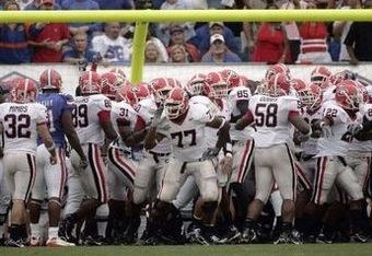Gator_stomp_wlocp_01_crop_340x234