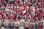 STANFORD, CA - SEPTEMBER 20:  Fans of the Stanford Cardinal look on against the San Jose State Spartans at Stanford Stadium on September 20, 2008 in Stanford, California.  (Photo by Jed Jacobsohn/Getty Images)