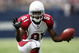 ST. LOUIS - NOVEMBER 02:  Anquan Boldin #81 of the Arizona Cardinals celebrates the first down in the first quarter against the St. Louis Rams on November 2, 2008 at the Edwards Jones Dome in St. Louis, Missouri.  (Photo by Elsa/Getty Images)