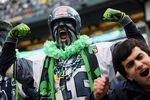 SEATTLE - JANUARY 05:  A Seattle Seahawks fan cheers on his team during the game against the Washington Redskins during the NFC Wild Card game at Qwest Field on January 5, 2008 in Seattle, Washington. The Seahawks defeated the Redskins 35-14.  (Photo by Otto Greule Jr/Getty Images)