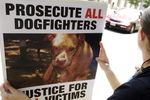 RICHMOND, VA - JULY 26:  Protestors from People for the Ethical Treatment of Animals carry signs as they wait for Atlanta Falcons quarterback Michael Vick to appear for a bond hearing and arraignment in federal court July 26, 2007 in Richmond, Virginia. Vick and three associates were indicted earlier this month on charges related to their alleged role in an interstate dogfighting ring.  (Photo by Jonathan Ernst/Getty Images)