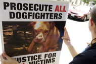 RICHMOND, VA - JULY 26:  Protestors from People for the Ethical Treatment of Animals carry signs as they wait for Atlanta Falcons quarterback Michael Vick to appear for a bond hearing and arraignment in federal court July 26, 2007 in Richmond, Virginia. Vick and three associates were indicted earlier this month on charges related to their alleged role in an interstate dogfighting ring.  (Photo by Jonathan Ernst/Getty Images)