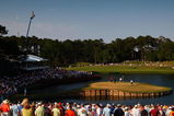 PONTE VEDRA BEACH, FL - MAY 10:  Tiger Woods and Alex Cejka of Germany are seen with their caddies on the green of the 17th hole during the final round of THE PLAYERS Championship on THE PLAYERS Stadium Course at TPC Sawgrass on May 10, 2009 in Ponte Vedra Beach, Florida.  (Photo by Jamie Squire/Getty Images)