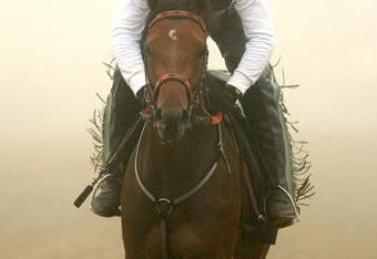 BALTIMORE - MAY 15:  Kentucky Derby winner Mine That Bird, riden by Charlie Figueroa, on the track in preparation for the 134th Prerakness Stakes at Pimlico Race Course on May 15, 2009 in Baltimore, Maryland.  (Photo by Matthew Stockman/Getty Images)