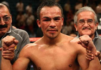 LAS VEGAS - SEPTEMBER 13:  Juan Manuel Marquez celebrates after knocking out Joel Casamayor in the 11th round during their bout at the MGM Grand Garden Arena September 13, 2008 in Las Vegas, Nevada.  (Photo by Jed Jacobsohn/Getty Images)