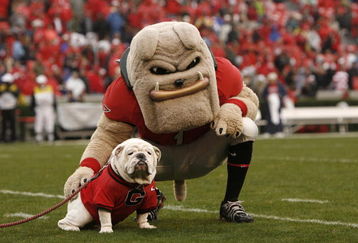 ATHENS, GA - NOVEMBER 29:  Georgia Bulldogs mascots Hairy Dawg (R) and UGA VII pose together for photos before the game against the Georgia Tech Yellow Jackets at Sanford Stadium on November 29, 2008 in Athens, Georgia.  The Yellow Jackets defeated the Bulldogs 45-42.  (Photo by Mike Zarrilli/Getty Images)