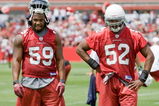 TEMPE, AZ - MAY 2 :  Will Davis #59 and Cody Brown #52 of the Arizona Cardinals watch a drill during a team minicamp at the team training facility on May 2, 2009 in Tempe, Arizona.  (Photo by Jonathan Willey/Getty Images)
