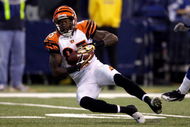 INDIANAPOLIS - DECEMBER 07:  Chad Johnson #85 of the Cincinnati Bengals makes a catch against the Indianapolis Colts at Lucas Oil Stadium on December 7, 2008 in Indianapolis, Indiana.  (Photo by Andy Lyons/Getty Images)