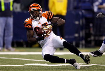 INDIANAPOLIS - DECEMBER 07:  Chad Johnson #85 of the Cincinnati Bengals makes a catch against the Indianapolis Colts at Lucas Oil Stadium on December 7, 2008 in Indianapolis, Indiana.  (Photo by Andy Lyons/Getty Images)
