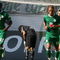 WOLFSBURG, GERMANY - AUGUST 30: Grafite (L) of Wolfsburg celebrates after scoring the 1st goal during the Bundesliga match between VfL Wolfsburg and Eintracht Frankfurt at the Volkswagen Arena on August 30, 2008 in Wolfsburg, Germany. (Photo by Martin Rose/Bongarts/Getty Images)